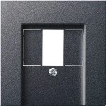 Gira 027628 Abd. TAE USB System 55 Anthrazit 