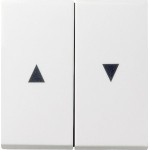 Gira 029403 Wippe 2-fach mit Pfeilsymbol Reinweiß glänzend 