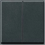 Gira 029567 Wippe 2-fach Anthrazit 