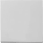 Gira 0296015 Wippe Grau matt 