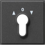 Gira 066467 Abd. Schlüsselschalter/-taster Gira TX_44 (WG UP) Anthrazit 