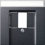 Gira 087628 Abd. BSF TAE USB System 55 Anthrazit 