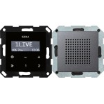 Gira 228028 UP-Radio RDS Lautsprecher System 55 Anthrazit 