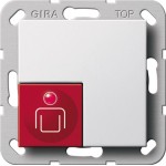 Gira 290003 Ruftaster System 55 Reinweiß 