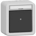 Gira 315630 Wipptaster Wechsler BSF WG AP Grau 