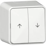 Gira 315913 Wipp-Jal.schalter Pfeile + Montagepl. AP Reinweiß 