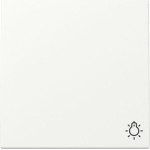 Gira 328527 Wippe Symb. Licht System 55 Reinweiß m 