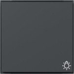 Gira 328567 Wippe Symb. Licht Gira TX_44 (WG UP) Anthrazit 