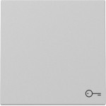 Gira 3287015 Wippe Symb. Tür System 55 Grau m 