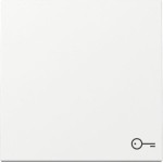 Gira 328703 Wippe Symb. Tür System 55 Reinweiß 