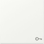 Gira 328727 Wippe Symb. Tür System 55 Reinweiß m 