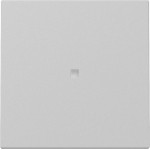 Gira 3290015 Wippe Kontrollf. System 55 Grau m 