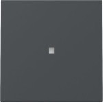 Gira 329028 Wippe Kontrollf. System 55 Anthrazit 