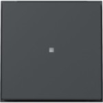 Gira 329067 Wippe Kontrollf. Gira TX_44 (WG UP) Anthrazit 
