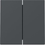 Gira 329528 Wippe 2f System 55 Anthrazit 