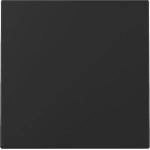 Gira 3296005 Wippe System 55 Schwarz m