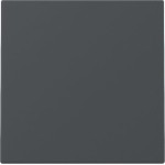 Gira 329628 Wippe System 55 Anthrazit 