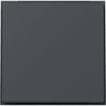 Gira 329667 Wippe Gira TX_44 (WG UP) Anthrazit 