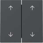 Gira 329728 Wippe 2f Pfeile System 55 Anthrazit 