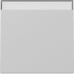 Gira 3299015 Wippe BSF System 55 Grau m 