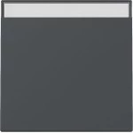 Gira 329928 Wippe BSF System 55 Anthrazit 