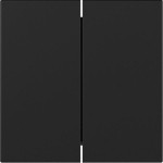Gira 3495005 Wippe 2f gerade System 55 Schwarz m 