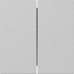 Gira 3495015 Wippe 2f gerade System 55 Grau m 