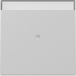 Gira 3670015 Wippe Kontrollf. + BSF System 55 Grau m 