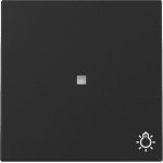 Gira 3674005 Wippe Kontrollf. + Symb. Licht System 55 Schwarz m 