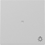 Gira 3674015 Wippe Kontrollf. + Symb. Licht System 55 Grau m 