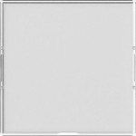 Gira 367600 Wippe BSF groß System 55 Farbneutral 