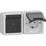 Gira 417730 Kombi AusWe/SCHUKO-Steckd. waager. KD WG AP Grau 