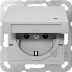 Gira 4552015 SCHUKO-Steckd. KD Kontroll + SP System 55 Grau m 