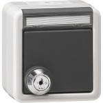 Gira 456930 SCHUKO-Steckd. KD Schloss gleich + BSF WG AP Grau 