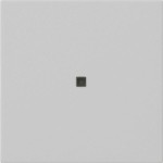 Gira 5371015 Wippe 1f unbedruckt Kontrollf. System 55 Grau m 