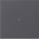 Gira 537128 Wippe 1f unbedruckt Kontrollf. System 55 Anthrazit 