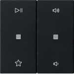 Gira 5384005 Wippe 2f Audiostrg System 55 Schwarz m 