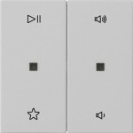 Gira 5384015 Wippe 2f Audiostrg System 55 Grau m 