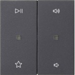 Gira 538428 Wippe 2f Audiostrg System 55 Anthrazit 
