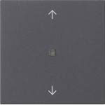 Gira 538828 Wippe 1f Pfeile Kontrollf. System 55 Anthrazit 