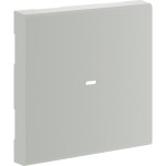Hager GW2C7035 Wippe 2-fach Linse für Tastsensormodul für Rahmenblende 55 halogenfrei lichtgrau 