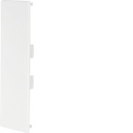 Hager LF6019069016 Endstück halogenfrei zu Leitungsführungskanal LF/LFF/FB 60x190mm verkehrsweiß 