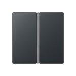 Jung A402TSAANM Tastensatz 2-fach F40 Serie A anthrazit matt 