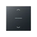 Jung A590BFKO5PANM Wippe 1-fach mit Lichtleiter mit Pfeilsymbolen Thermoplast lackiert Serie A anthrazit matt 
