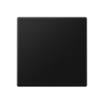 Jung A590SWM Wippe Serie A graphitschwarz matt 