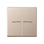 Jung A595KO5PCH Wippe 2-fach mit Lichtleiter mit Pfeilsymbolen Serie A champagner 