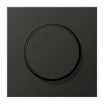 Jung AL1740AN Abdeckung für Drehdimmer Aluminium lackiert Serie LS anthrazit (lackiertes Aluminium) 