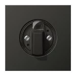 Jung AL1941AN Abdeckung für Drehschalter Aluminium lackiert Serie LS anthrazit (lackiertes Aluminium) 