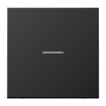 Jung AL2990KO5D Wippe 1-fach mit Lichtleiter Aluminium lackiert Serie LS dark (lackiertes Aluminium) 