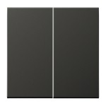 Jung AL2995AN Wippe 2-fach Aluminium lackiert Serie LS anthrazit (lackiertes Aluminium) 